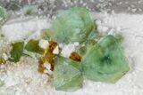 Green, Octahedral Fluorite on Milky Quartz - Inner Mongolia #181713-3